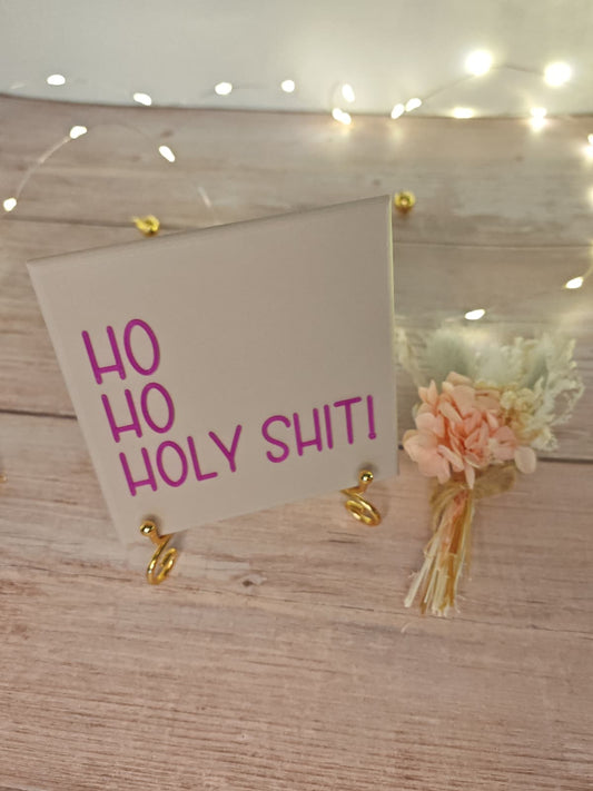 Sprüchekachel „Kachel 2 Go“ – "Ho ho Holy Shit"