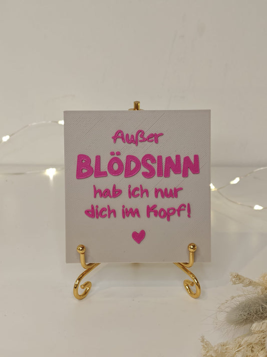 Statement2Go - Inlet "Außer Blödsinn hab ich nur dich im Kopf"
