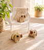Snuggliez Baby Capybara – bewegliche Flexi-Figur zum Sammeln, Fummeln & Verschenken von CozyLabs Design